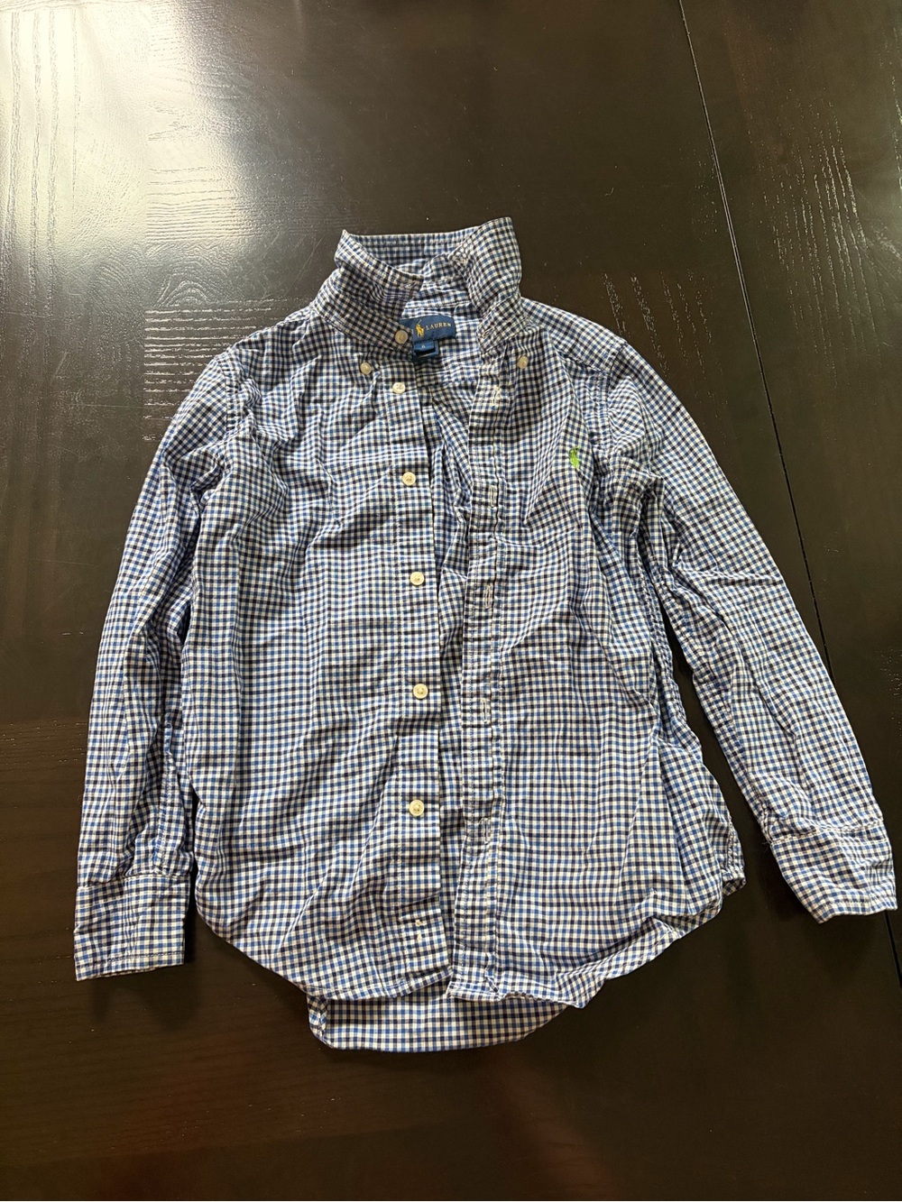 Polo by Ralph Lauren Blue and White Gingham Button-Down Shirt